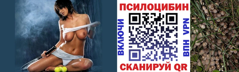 mega маркетплейс  Валдай  Псилоцибиновые грибы Psilocybe  цены  